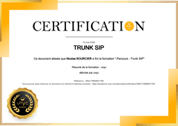 Trunk SIP — formation opérateur