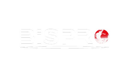 Informatique Moselle BIS PRO informatique